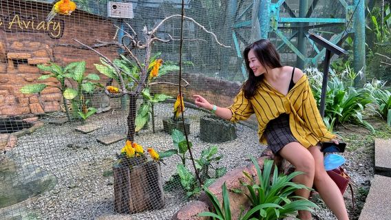 Entrada al Parque de Aves de Kuala Lumpur con traslado de ida|Malasia