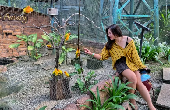 吉隆坡雀鳥公園門票連單程接送|馬來西亞