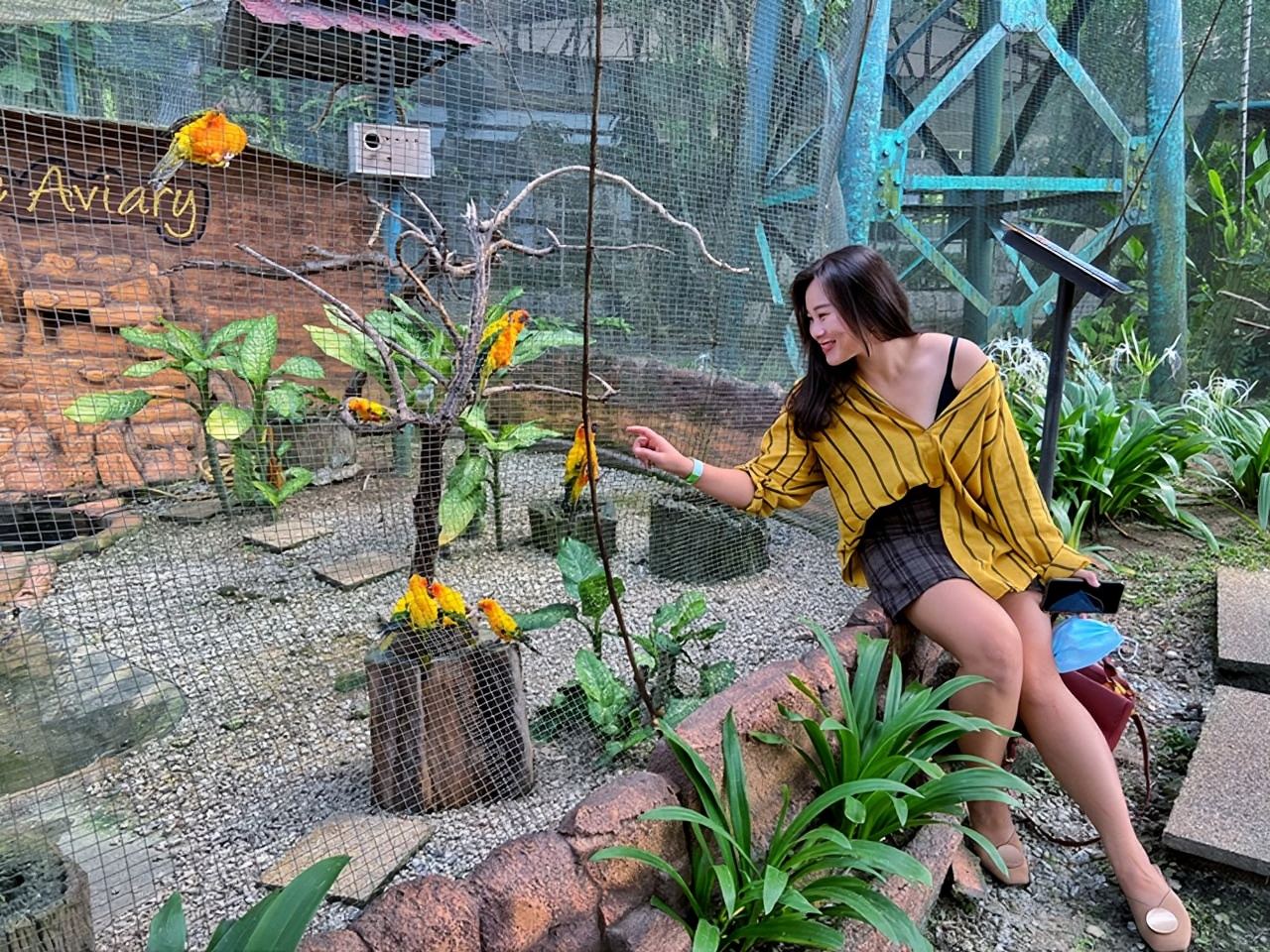 Biglietto d'ingresso per il Parco degli uccelli di Kuala Lumpur con trasferimento di sola andata|Malesia