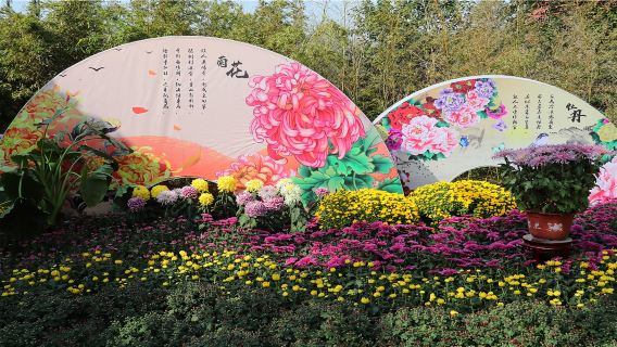 Kaifeng 1-day private tour: Millennium City Park + Zhuxian Town Qifeng Ancient Garden + Kaifeng Fu (Kaifeng Palace)