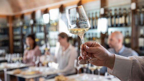 Superior Wine Tasting in San Gimignano