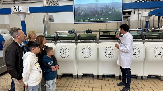 Olive Oil Tours and Tasting at Frantoio di Montalcino