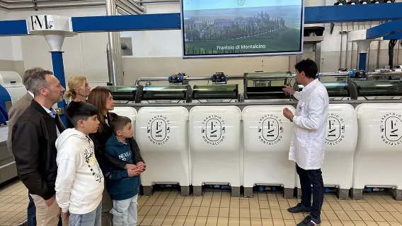 Olive Oil Tours and Tasting at Frantoio di Montalcino