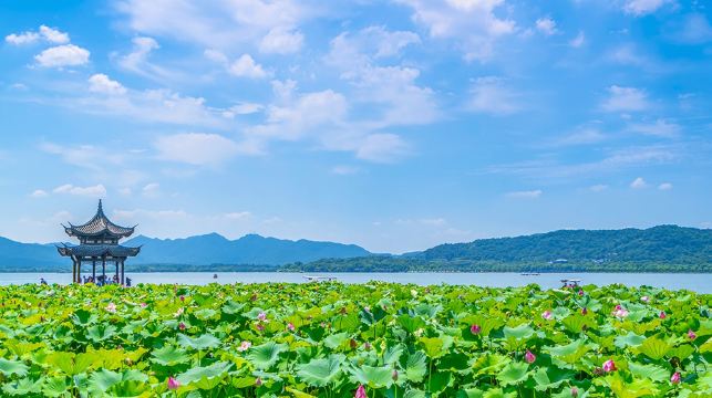 下午半日：杭州雷峯塔+西湖遊船+三潭印月+導遊講解+18人團