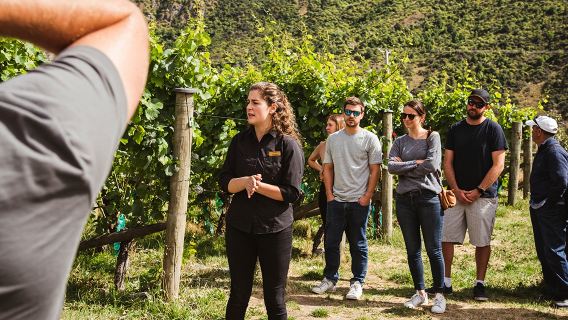 Queenstown, Neuseeland: Klassische Tagestour mit Weinprobe