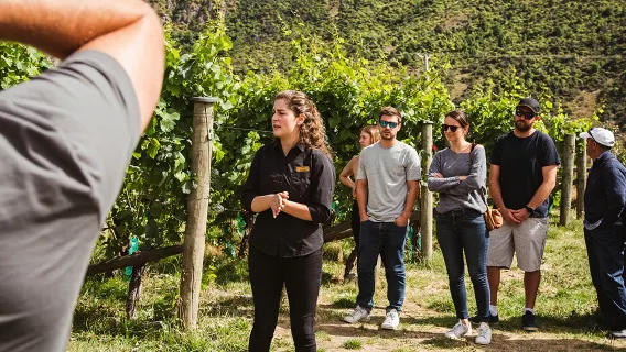 Chuyến tham quan nếm thử rượu vang Gibbston Classic Winery từ Queenstown, New Zealand