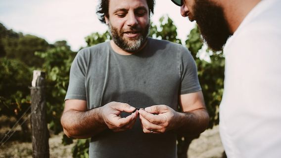 Bertrand Bosc wine and food tour in Pic St Loup