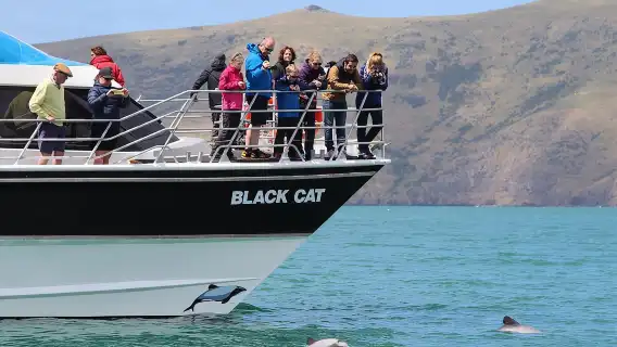 Akaroa Harbour Nature Cruise