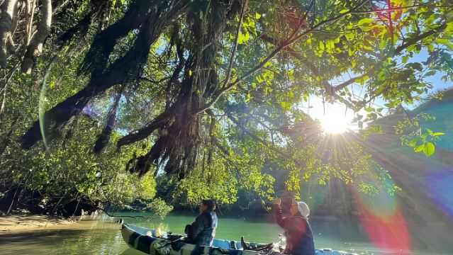 Mangrove kayaking to enjoy nature in Okinawa
