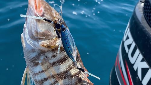 Nanje Fishing Trips Dubai 9