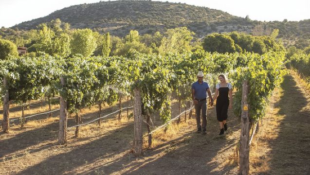 Bliss - Il Tour Enologico Più Lusso di Sedona - Pranzo Incluso!