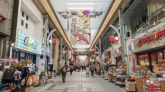 日本名古屋德川園-大須觀音寺-電視塔【中文專車-舒適純淨】