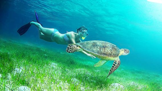 Cairns Fitzroy Island + Moore Great Barrier Reef 2-in-1 1-day tour Sunlover cruise