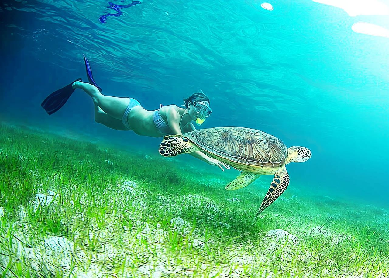 ทัวร์ 1 วัน แคนส์เกาะเอเมอรัลด์ + เกรตแบร์ริเออร์รีฟมัวร์ [2 in 1] เรือซันเลิฟเวอร์