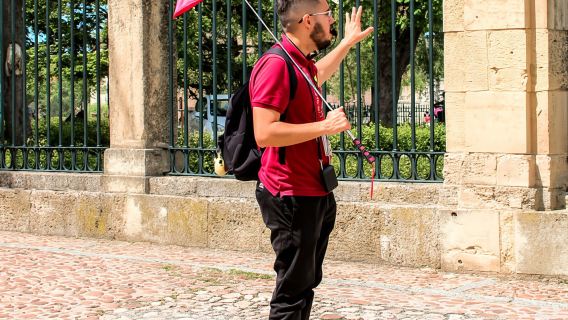 Da Madrid: gita guidata di un giorno ad Ávila e Segovia