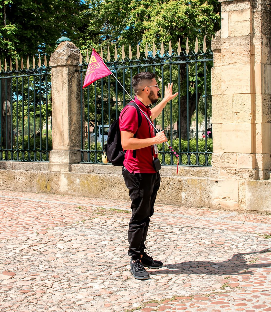 Desde Madrid: Excursión guiada de un día a Ávila y Segovia
