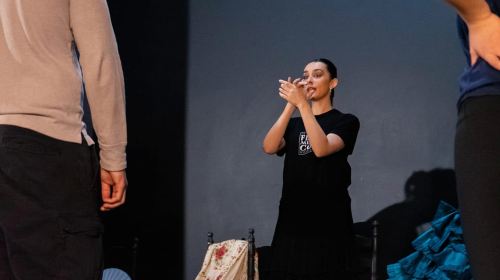 Seville: Flamenco Dance Class for Beginners at the Teatro Flamenco Day Tours