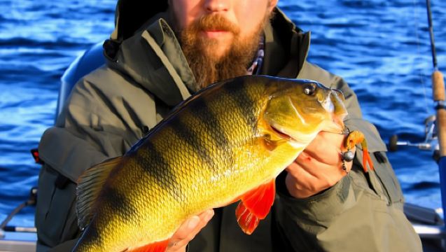 Кируна: рыбалка в Лапландии с гидом и снаряжением.