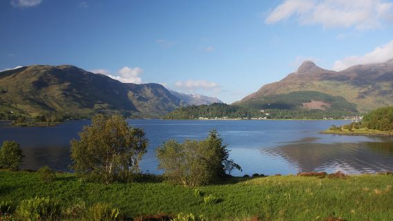 Edinburgh: Ultimate Whisky Experience