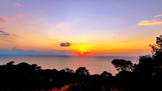 Von Peschici: Hin- und Rückfahrt mit der Fähre zu den Tremiti-Inseln