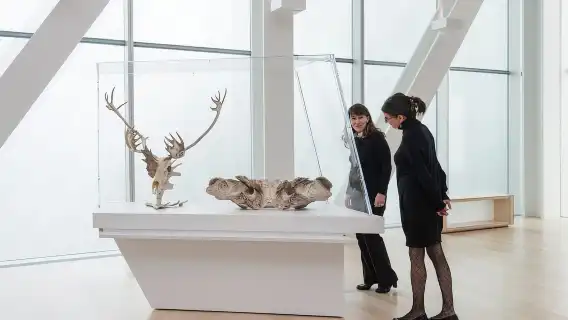 Quebec City: MNBAQ National Fine Arts Museum Entry Ticket