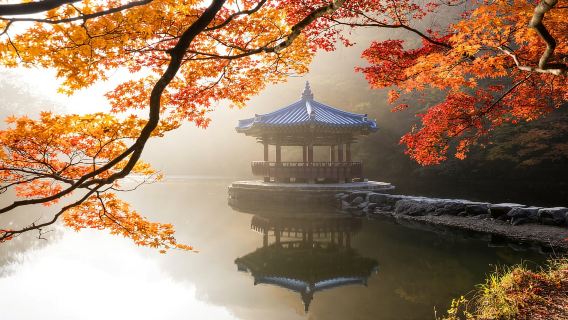 Seoul: Naejangsan National Park Autumn Foliage One Day Tour