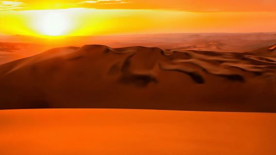 Lima : Îles Ballestas, vignoble et économie de Huacachina
