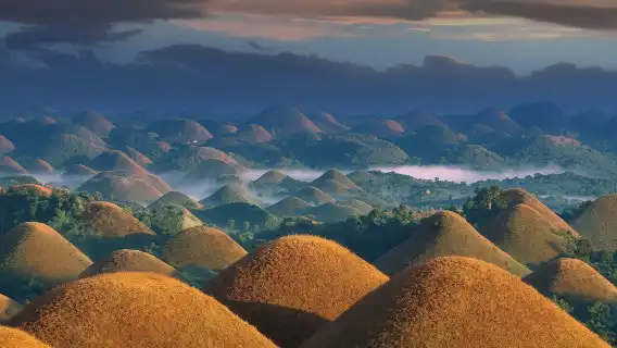 Bohol Choco Tour with Loboc River Lunch (Shared Tour)