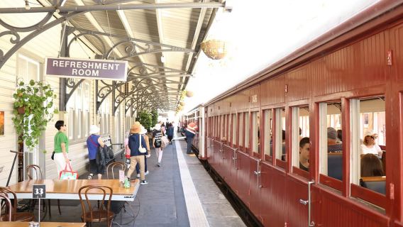 Sunshine Coast: VIP Booth Shared Mary Valley Rattler