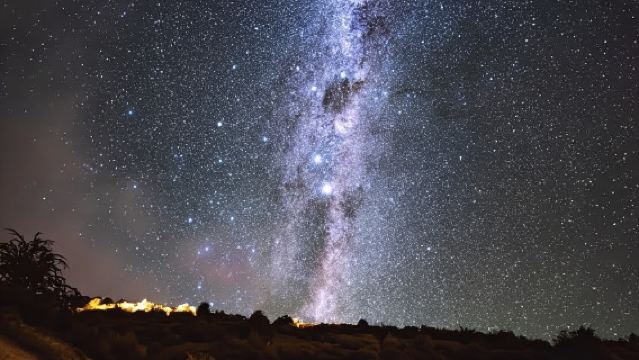 Auckland (Tawharanui): Trải Nghiệm Ngắm Chim Kiwi Hoang Dã