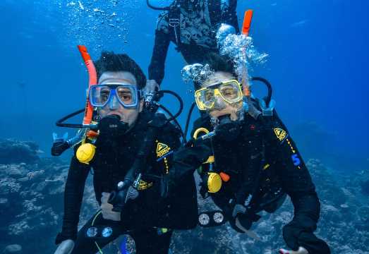 Cairns: Great Barrier Reef Premium Diving Full Day Tour AUD 181.53