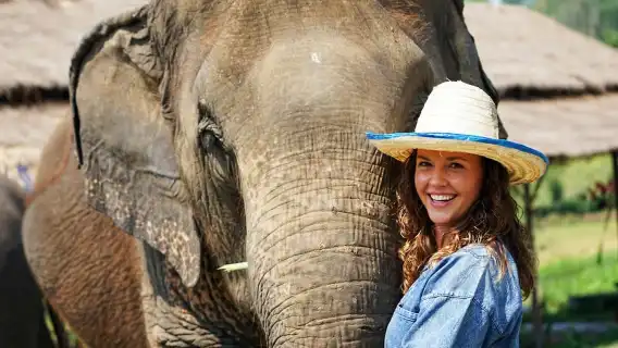 清邁:小團體道德大象保護區之旅