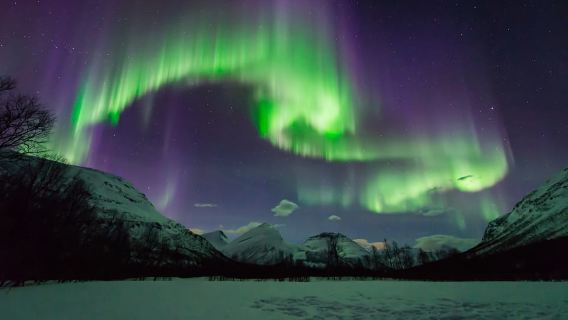 Tromsø: Aurora Hunt with Citizen Science