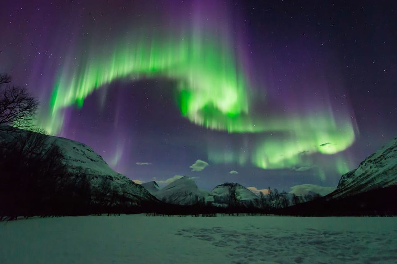 Tromsø: All inclusive Aurora Hunt with photos, food & drinks