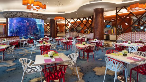 Billet adulte/enfant pour le forfait dîner et petit-déjeuner au restaurant buffet Dolphin de l'hôtel Hengqin Bay à Zhuhai Chimelong