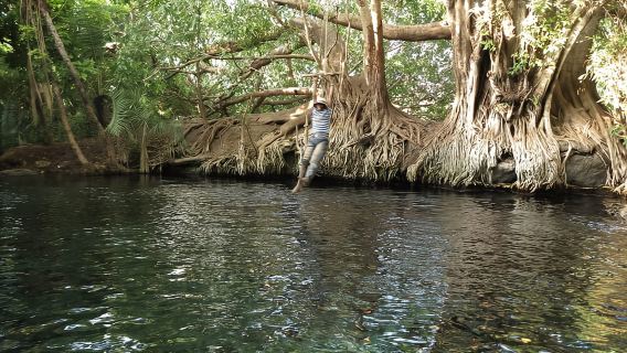 Boma Ng'ombe: Chemka Hot Springs Day Trip