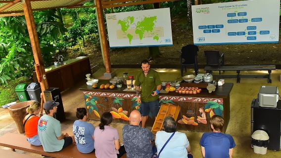 Ocean View Canopy Zip line + Chocolate Experience