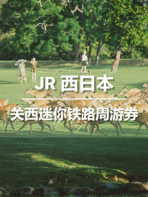 JR關西迷你鐵路週遊券3日(實體票/電子票可選)