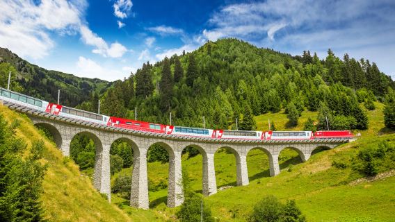 Swiss Travel Pass|rs90+town public transportation+free boat and scenic train+multi-mountain tour discounts+free 500+museum visits
