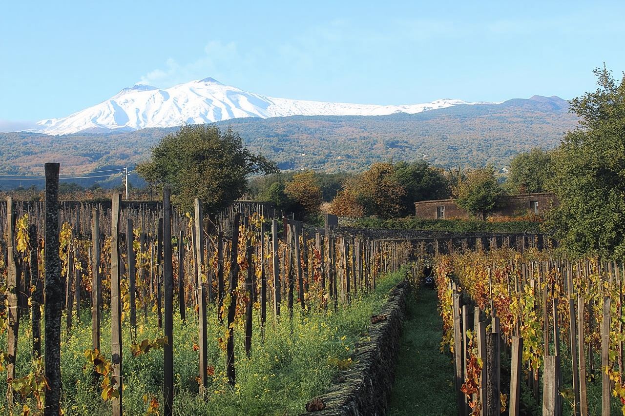 Degustazione di vini sull'Etna e pranzo siciliano - Tour per piccoli gruppi da Catania