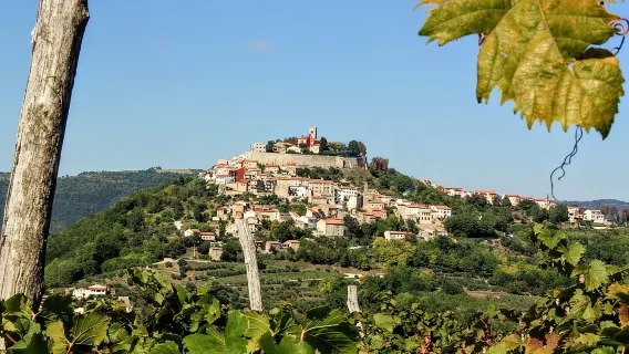 De Pula ou Medulin : Excursion à la journée à Rovinj, Grožnjan et Motovun