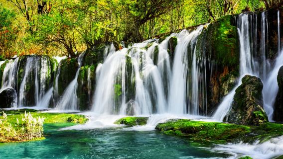 黃龍九寨高鐵站－九寨溝風景區（單程）保姆大巴接駁車
