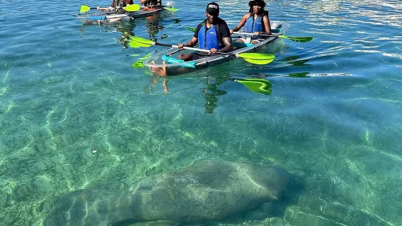 Tour matutino en kayak en la laguna del Condado
