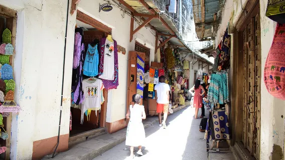 Tour a piedi di Zanzibar Stone Town