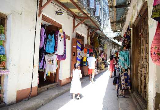 Zanzibar Stone Town Walking Tour