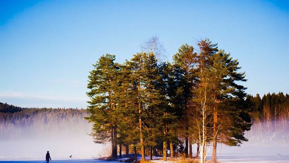 Norway + Bygdøy Peninsula + Vigeland Sculpture Park + Oslo Fjord + Norwegian Folk Museum