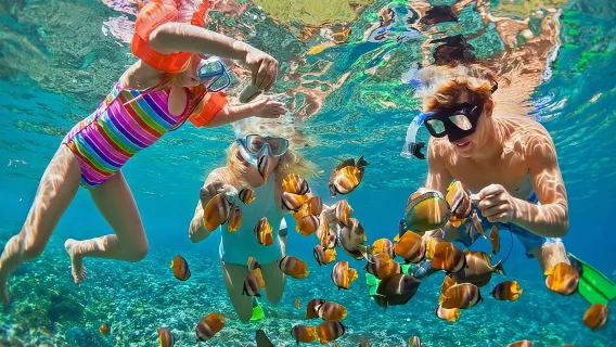 Cham Island Daily-Snorkeling(Pick up from Da Nang/ Hoi An)