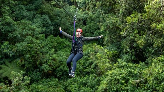 Эко-тур по зиплайну Rotorua Redwood Forest Jungle Descent Canopy (3 часа или 3,5 часа по желанию)