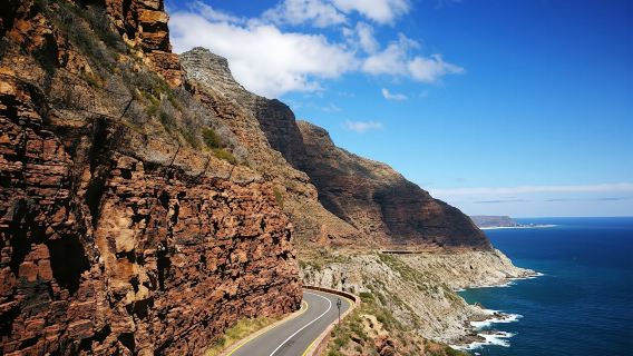 Excursión de día completo a la Península del Cabo con visita opcional a una colonia de pingüinos