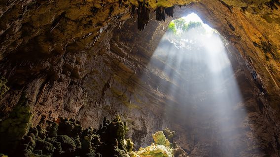 Alberobello, Castellana Caves and Polignano full-day tour from Bari